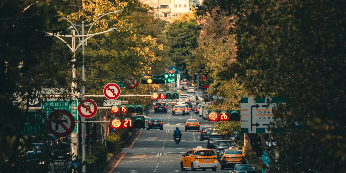 台北市的街道與行道樹